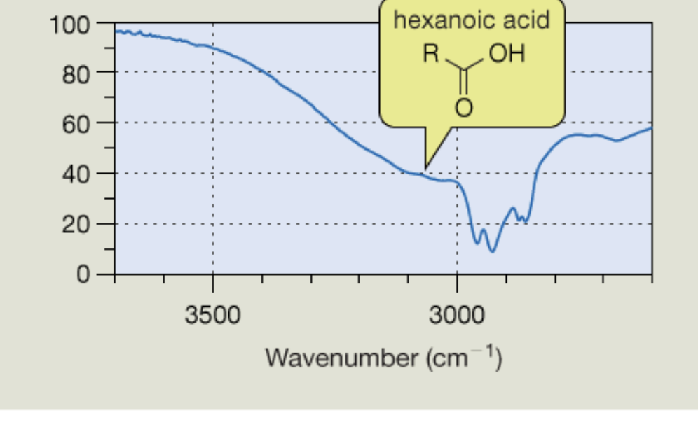 <p>Carboxylic acid peaks </p>