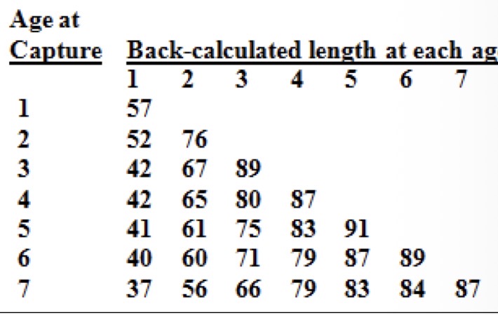 <p>Back Calculation tables *what do you notice, what’s this called, give example</p>