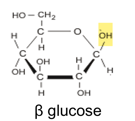 <p>A glucose isomer in which the hydroxyl group ($$-OH$$) attached to carbon number 1 ($$C1$$) is positioned above the plane of the ring.</p>