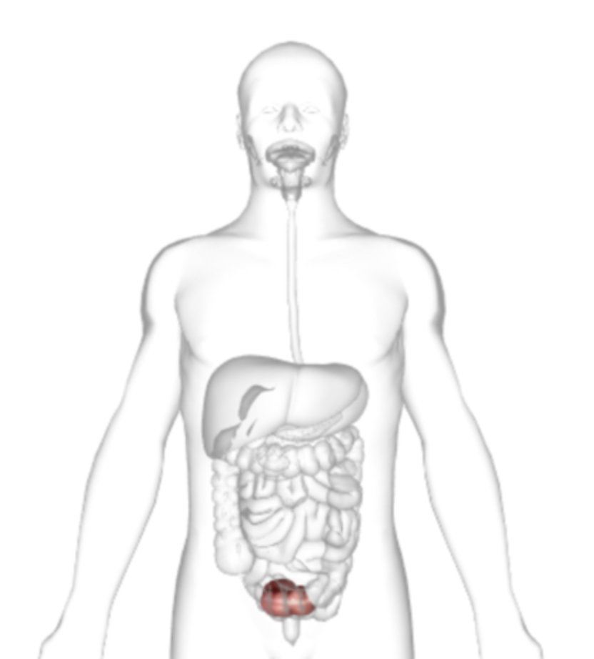 <p>what is highlighted</p>