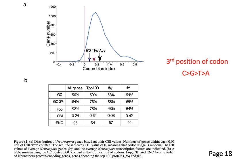 <ol><li><p><span>Codon usage optimization for luciferase in Neurospora</span></p></li><li><p><span>Noticed frq open reading frame predominately has non-optimal codons (see below; Supplemental figure 1 from paper).&nbsp;</span></p></li><li><p><span><strong>This led them to wonder what would happen if they optimized the codon usage for FRQ and tested it for clock function in <em>Neurospora</em></strong>.</span></p></li></ol><p></p>