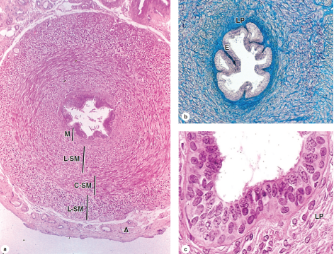 <p>What is the structure?</p>