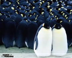 <p>All the organism of one species living in a specific area.</p>