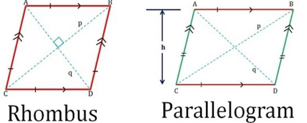 <p>Rhombus and Parallelogram</p>