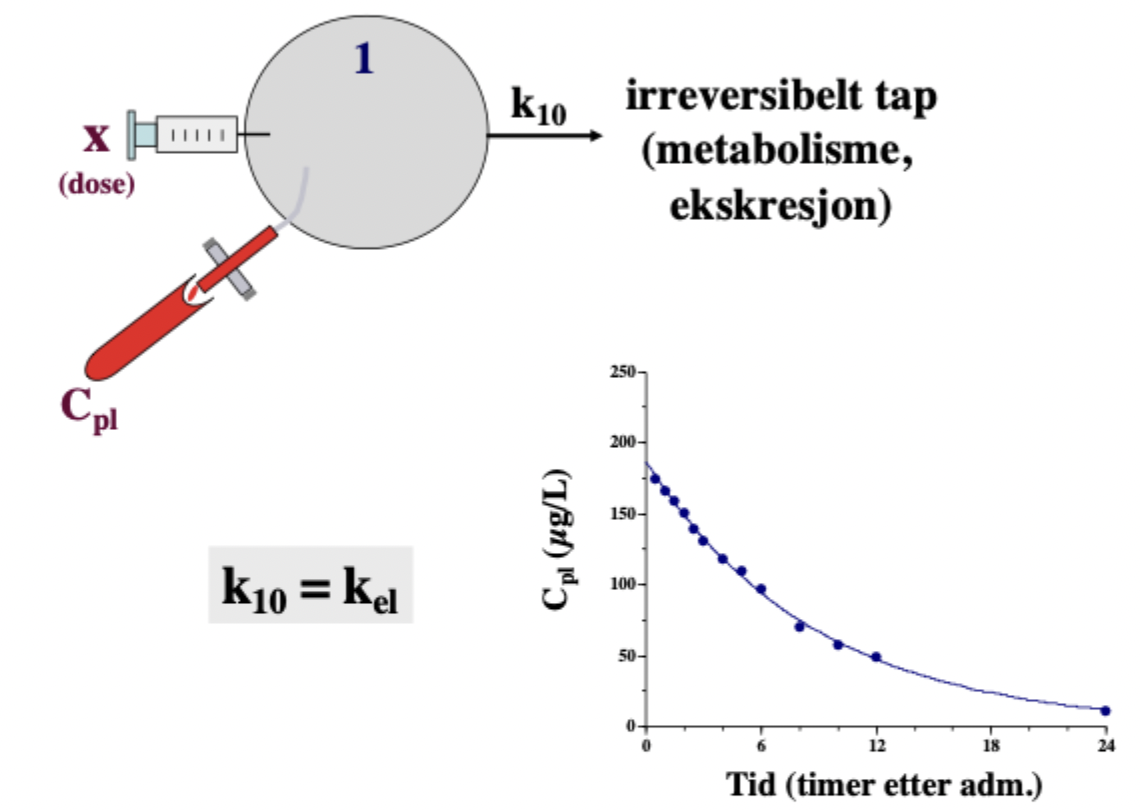 <p>Beskrives som et monoeksponentielt kurveløp der dosen metaboliseres og elimineres med engang. </p>
