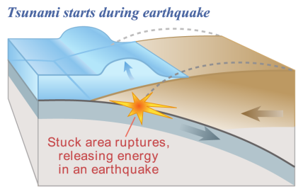 <p>What is the connection between earthquakes and tsunami? </p>
