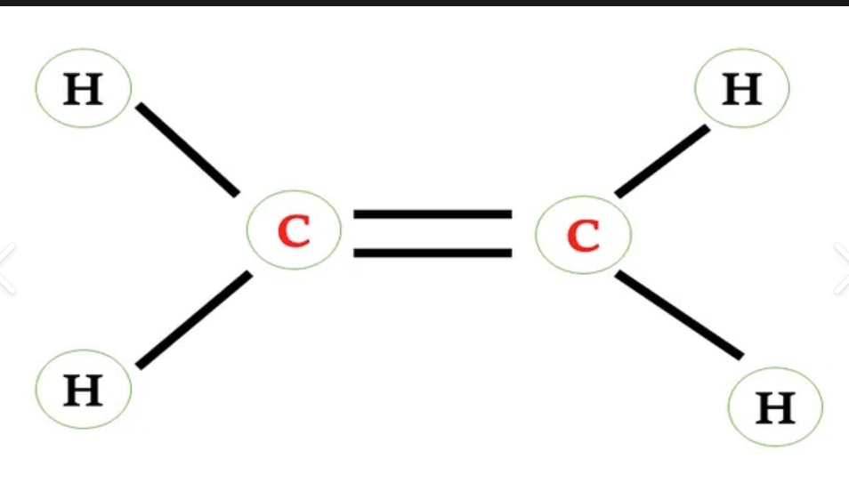 <p>also called olcfine</p><p>hydrocarbon that has a c to c double bond</p><p>changes ethene to ethane </p><p>__ is two double bonds of c</p>