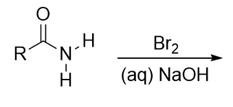 <p>mechanism**</p>