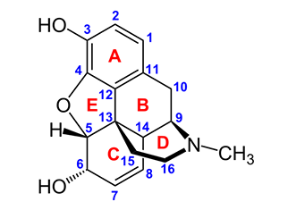 <p><span>a. NSAIDs</span><br><span>b. Opioids</span><br><span>c. Local anesthetics</span><br><span>d. Antipsychotics</span></p>