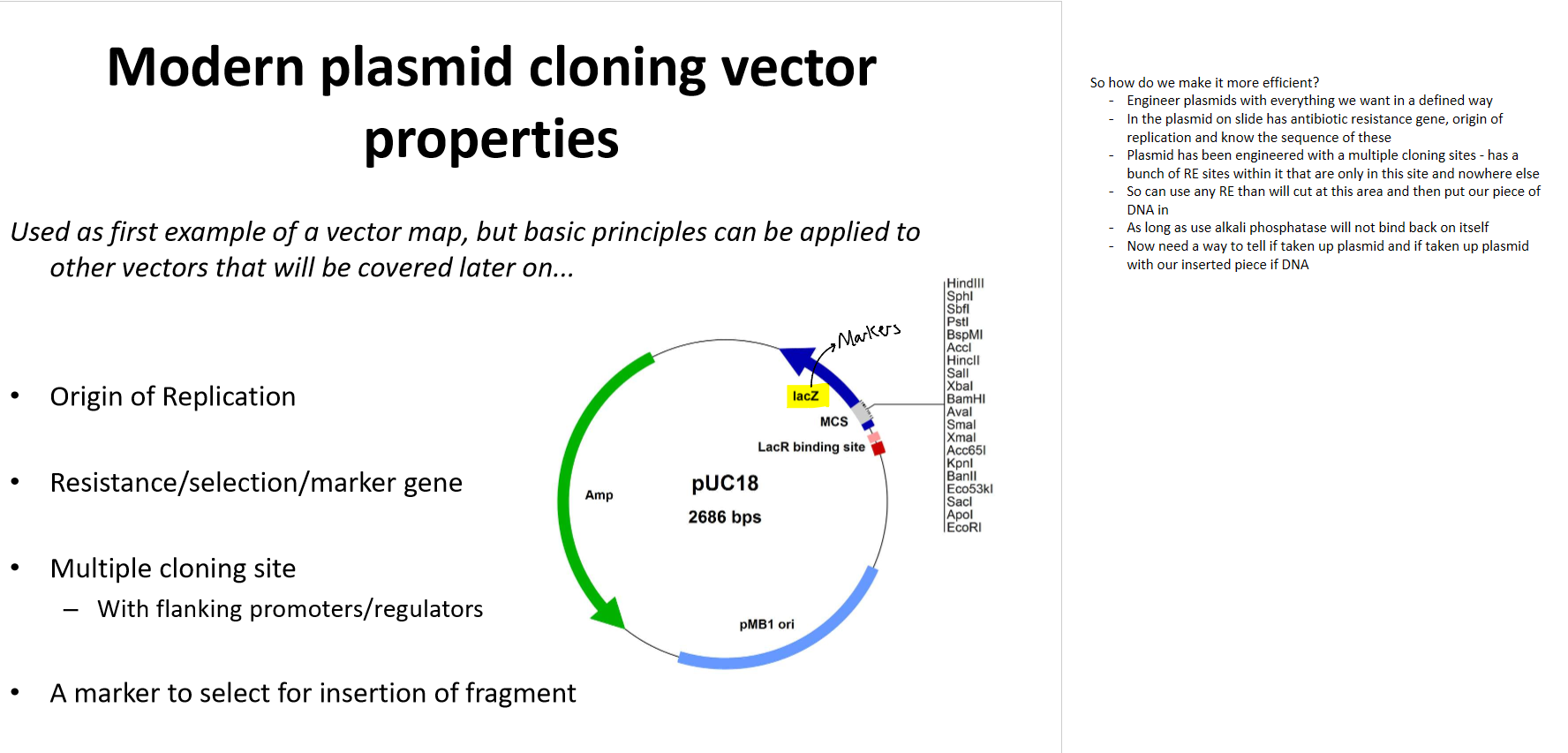 <p>we add antibiotic resistanec gene and add origin of replication site → know both of tehse sequnces so can add to plamid </p><p>on a seperate are on plasmid we add the RE sites so when cuts only cuts there and not other things we add - multiple cloning site </p><p>then can add DNA </p><p>also make sure to add alkali phosphitase </p>