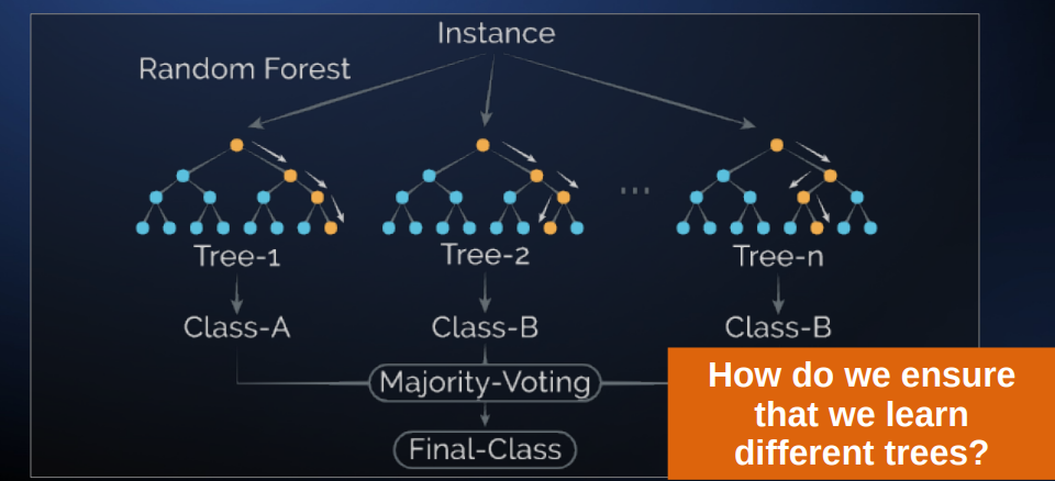 <p>we ensure that we learn different trees using the bootstrap method</p>