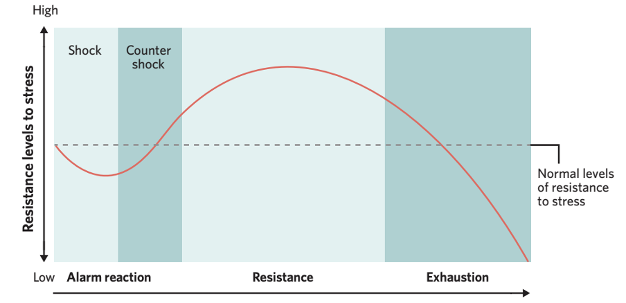 <p><span>In the 1930’s, Hans Selye was conducting research on both immediate and long-term effects of stress.&nbsp;</span><strong> </strong>Research was done on rats, were exposed to stressors.</p><p><span>Found that: despite differences in these stressors, a typical physiological syndrome appeared, which he called the general adaptation syndrome (GAS).</span></p><p><span>He emphasised two elements when describing this syndrome.</span></p><p>·<span>&nbsp;It is non-specific (it is same irrespective of the type of stressor)</span></p><p>·<span>&nbsp;It is identical within all members of a species (for rats)</span></p>