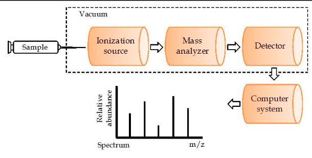 <ul><li><p>The separated ions are measured and the results displayed on a chart as a spectrum (the fragmentation pattern)</p></li></ul><p></p>