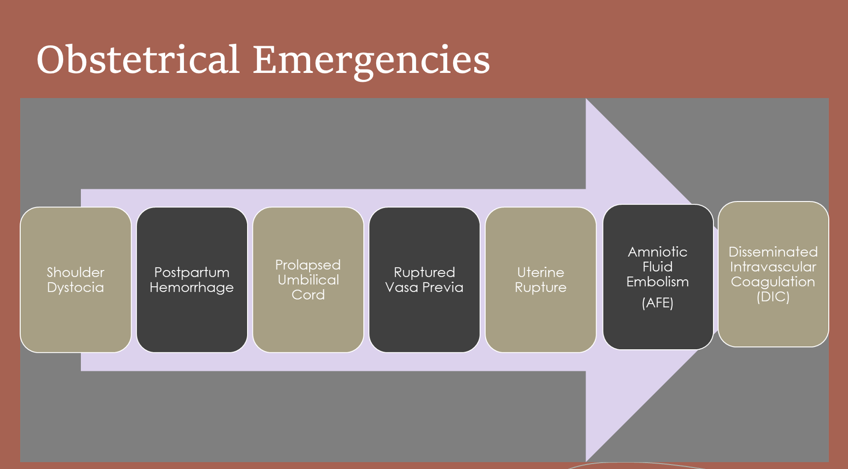 <p>Obstetrical Emergencies</p>