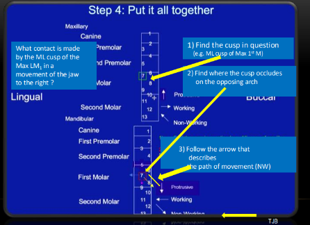 knowt flashcard image
