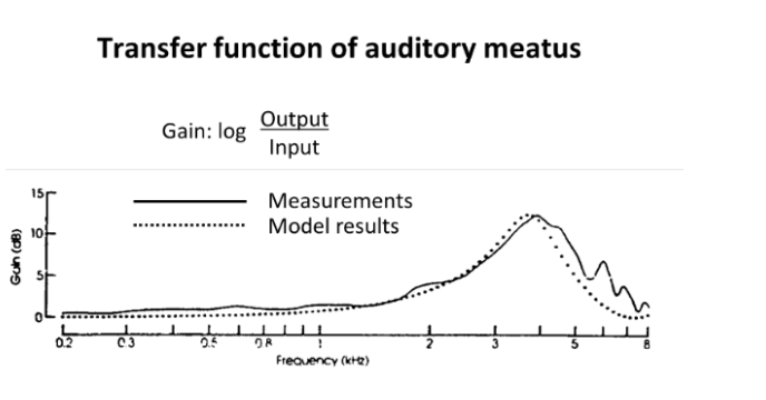 <ol><li><p>open ended tube</p></li><li><p>has resonant peaks that are predictable from knowing its length</p></li></ol><p><strong>EVIDENCE</strong>: measured gain matches calculated gain</p><ul><li><p>peaked at around 3-5 kHz</p></li><li><p>coincides with human speech frequency range</p></li><li><p>HOW MEASURED: sound pressure measured at the entrance (input) and end (tympanic membrane: output)</p></li></ul><p></p>