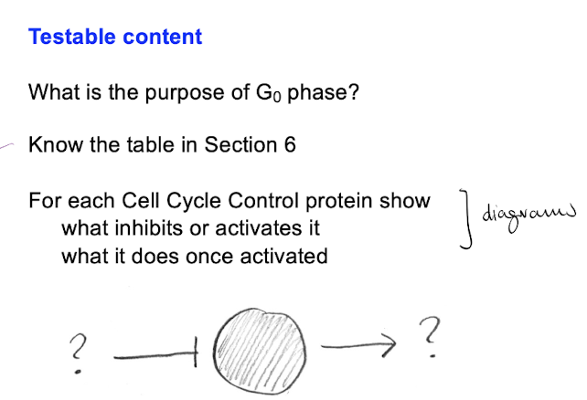 <p>Examinable Content</p>