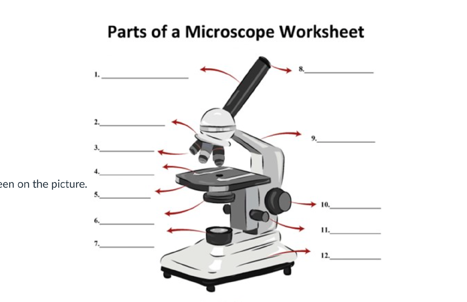 <p>Microscope Part 5</p>