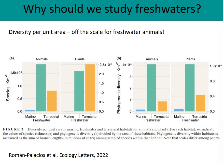 <ul><li><p>rare- 0.8% of earth’s water volume, 2% of surface area</p></li><li><p>physically diverse and interesting</p></li><li><p>hotspots for diversity- much higher diversity per unit area than marine habitats</p></li><li><p>most threatened ecosystem on the planet</p></li><li><p>we need them for ecosystem services- drinking water, fishing, flood mitigation</p></li></ul><p></p>