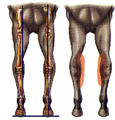 <p>what is this an image of </p>