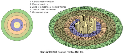 <p>Ernest Burgess Concentric Zone Model</p>