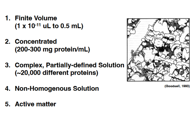 <p><span style="background-color: transparent;"><strong>Physical Properties of the Cytoplasm</strong></span></p>