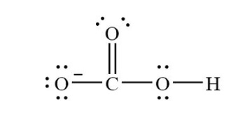 <p>HCO<sub>3</sub><sup>-</sup></p>