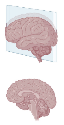 <p>Name this plane</p>