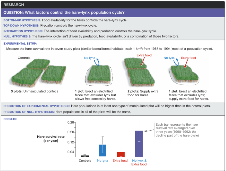 <p><span style="background-color: transparent;">Competing Hypotheses for Population Cycles</span></p><ul><li><p><span style="background-color: transparent;">Bottom Up Hypothesis: <strong>Hare populations are limited by food, and the lynx will decline when the hares starve (Limited by resources at the bottom of the food web)</strong></span></p></li><li><p><span style="background-color: transparent;">Top Down Hypothesis: <strong>Lynx predation controls the hare population size. High predator density causes hare crashes.&nbsp;</strong></span></p></li><li><p><span style="background-color: transparent;">Interaction hypothesis:<strong> Food limits &amp; predation act together and the combined effect is stronger than one alone&nbsp;</strong></span></p></li></ul><p></p>