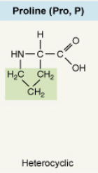 <p>Heterocyclic</p>