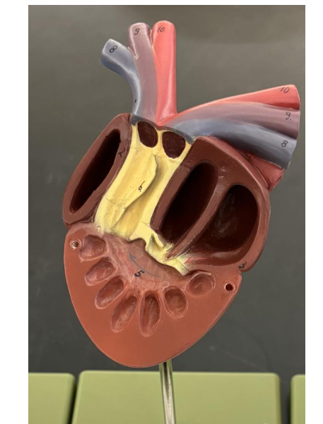 <p>what is this </p>