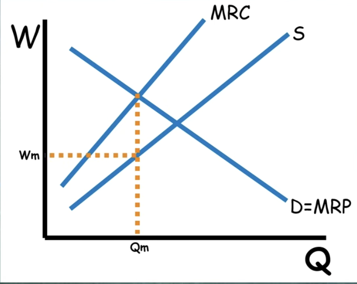 <ul><li><p>Hire where MRP = MRC</p></li><li><p>Wage is at supply below</p></li><li><p>DWL in triangle</p></li><li><p>Only one buyer</p></li><li><p>Firm is wage-maker:</p><ul><li><p><span style="background-color: transparent; font-family: "Times New Roman", serif;">To hire additional workers, the firm must increase the wages for all workers</span></p></li></ul></li></ul><p></p>