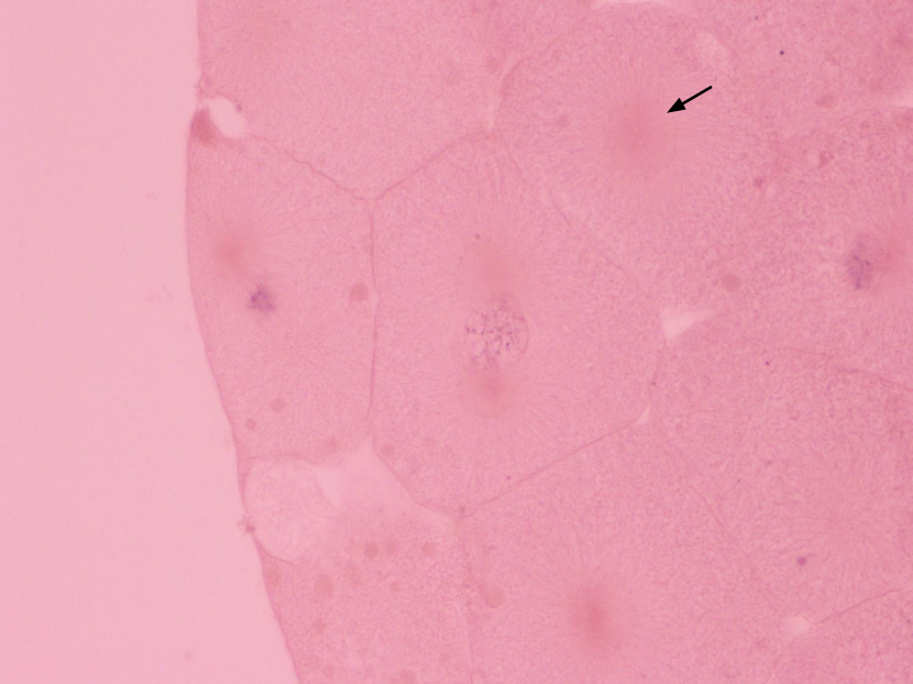 <p>What is this?</p>