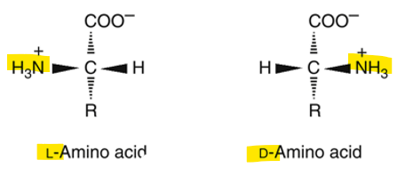 <p>L or D</p>