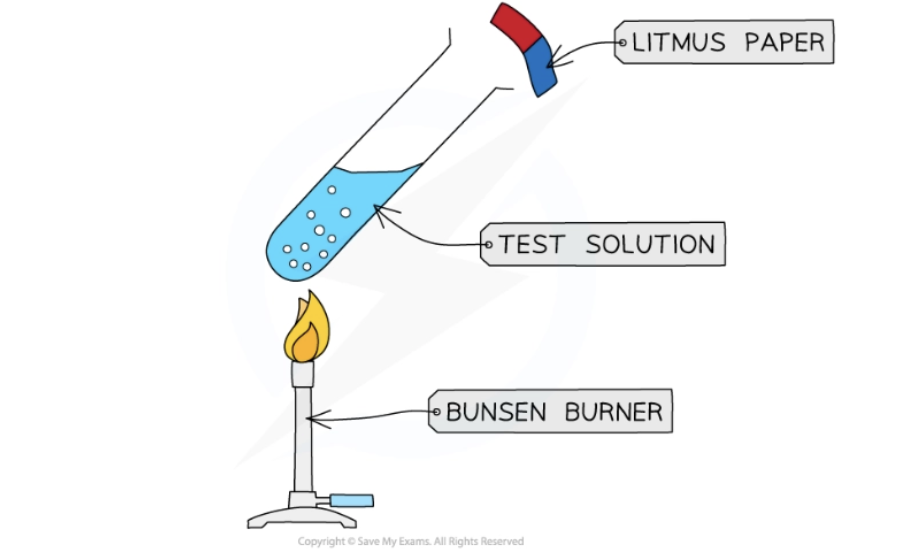 <ul><li><p>Gas that turns damp red litmus blue</p><ul><li><p>Explanation: turns blue since it is highly alkaline</p></li></ul></li><li><p>Can also be identified by its strong, pungent smell</p></li></ul><p></p>