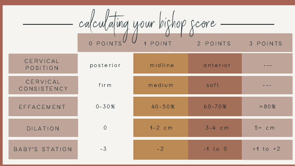 <p>A Bishop score of 8 or greater is considered to be favorable for induction, or the chance of a vaginal delivery with induction is similar to spontaneous labor. A score of 6 or less is considered to be unfavorable if an induction is indicated cervical ripening agents may be utilized.</p><p></p>