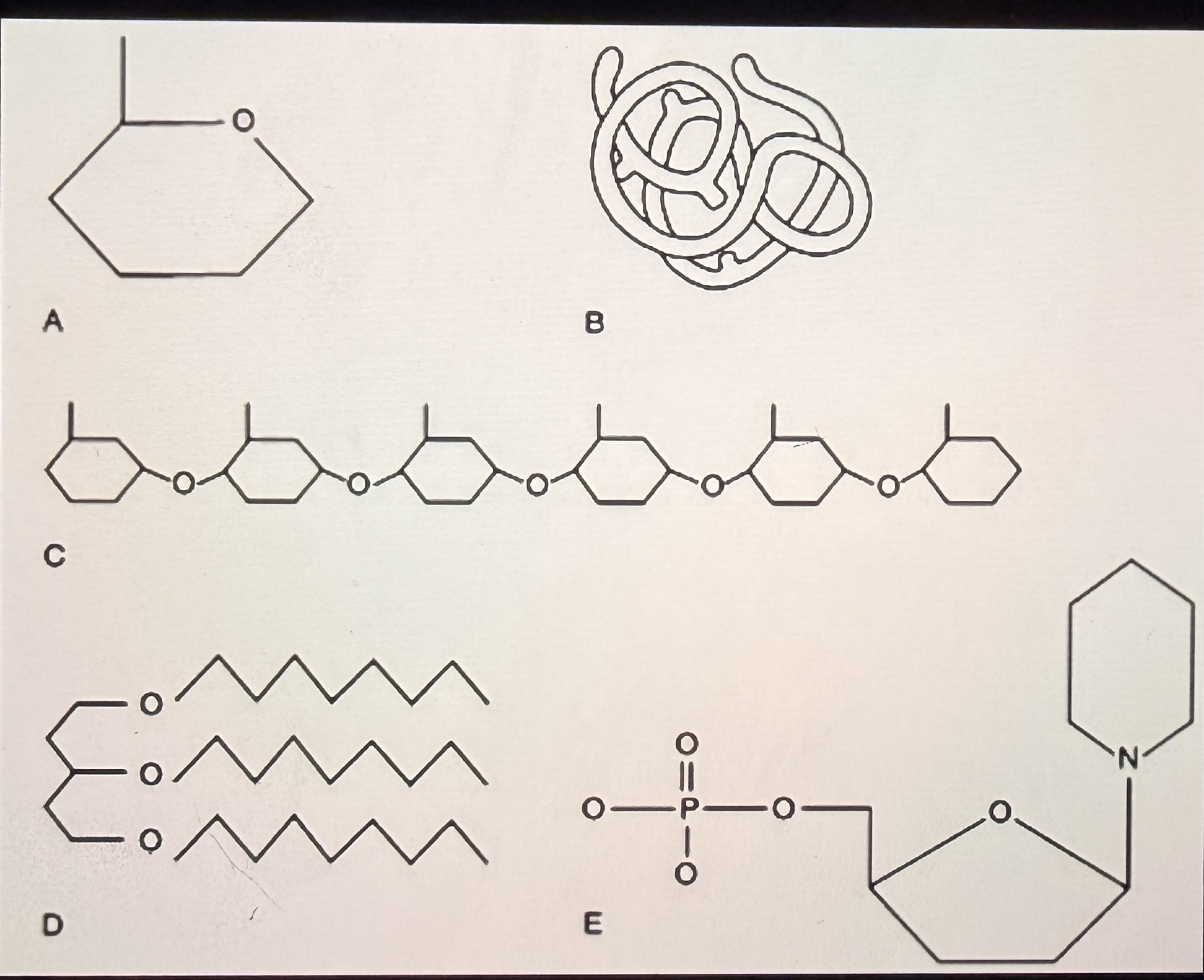 <p>C</p>