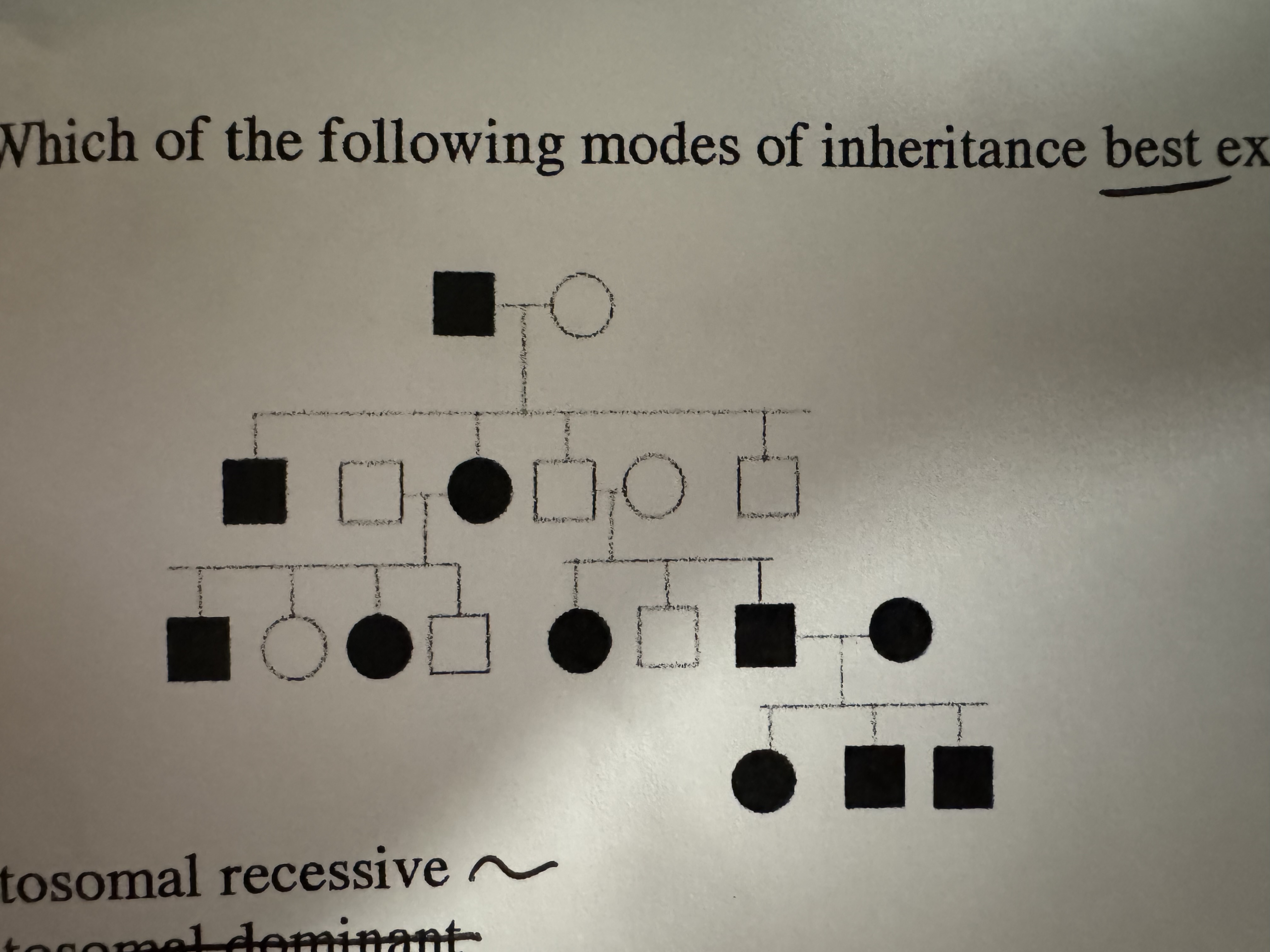 <p>which of the following modes of inheritance best explains this pedigree?</p>