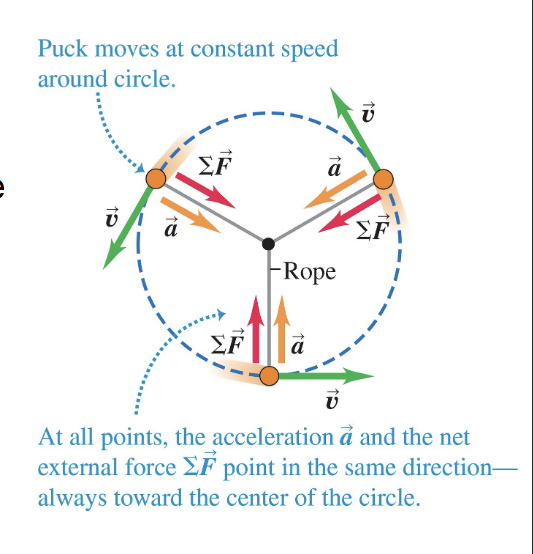 <p>center of the circle (net external force on the object must point toward the center of the circle) </p>