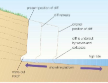 <ol><li><p>Sea attacks <u>base</u> of cliff between high and low water mark</p></li><li><p>A <u>wave cut notch</u> is formed by HA and AB</p></li><li><p>As the notch increases in size, the cliff becomes <u>unstable</u> and <u>collapses</u>, leading to the retreat of the cliff<u> face</u></p></li><li><p><u>Backwash</u> carries away the eroded material, leaving a wave-cut <u>platform</u></p></li><li><p>Process repeats and cliff continues to <u>retreat</u></p></li></ol><p></p>