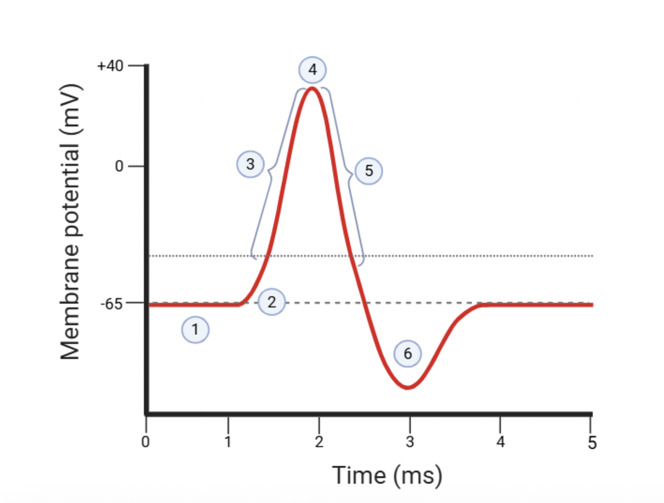 <p>label the 1 step on this graph</p>