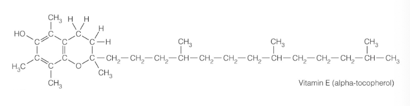 <p>what is this structure</p>