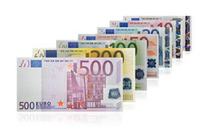 <p>der Euro</p>