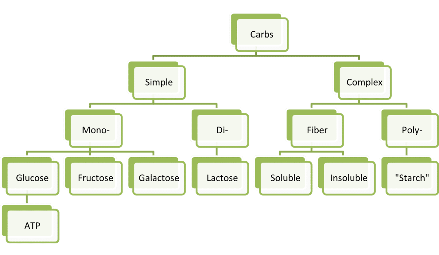 <p>carbohydrates</p>