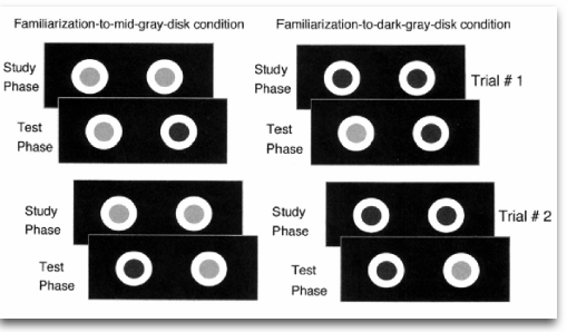 <p>combinatie van vorige twee manieren</p><p>en dishabitueert die bij het zien van het andere rondje</p><p>en welke van de twee kijkt die langer naar</p>