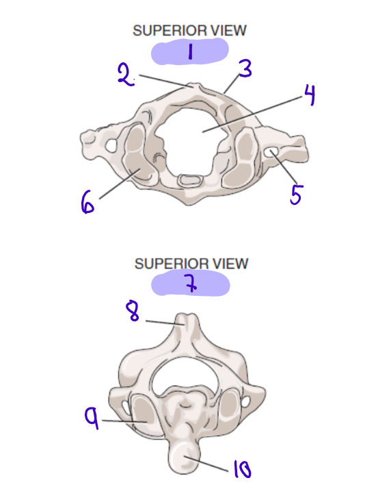 <p>1</p>