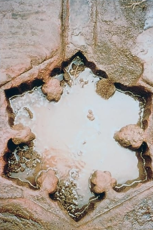 <p>Babur’s Garden at Dholpur, 16th Century, Mughal </p><ul><li><p>life cycle of the lotus represented in ornamental stone pools </p></li><li><p>chadar with ridges to animate the water cascade</p></li></ul><p></p>