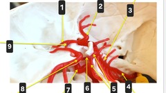 <p>4</p>
