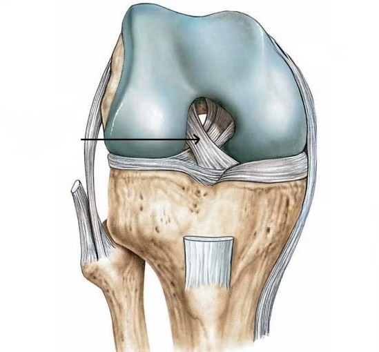 <p>Name this specific structure</p>