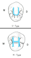 <p>more</p>